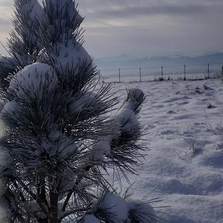 Dom W Gorach * Lomnica (Jelenia Gora)