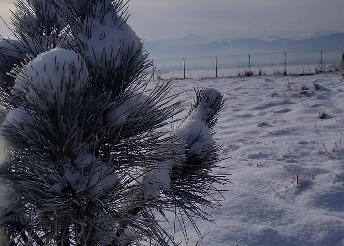 Dom W Gorach * Lomnica (Jelenia Gora)